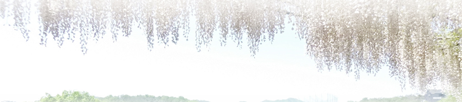 fuji